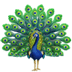:peacock: